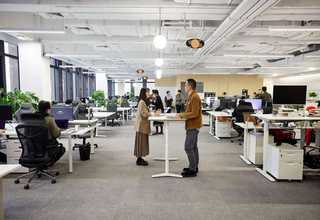 上海种植黄花菜出厂价格